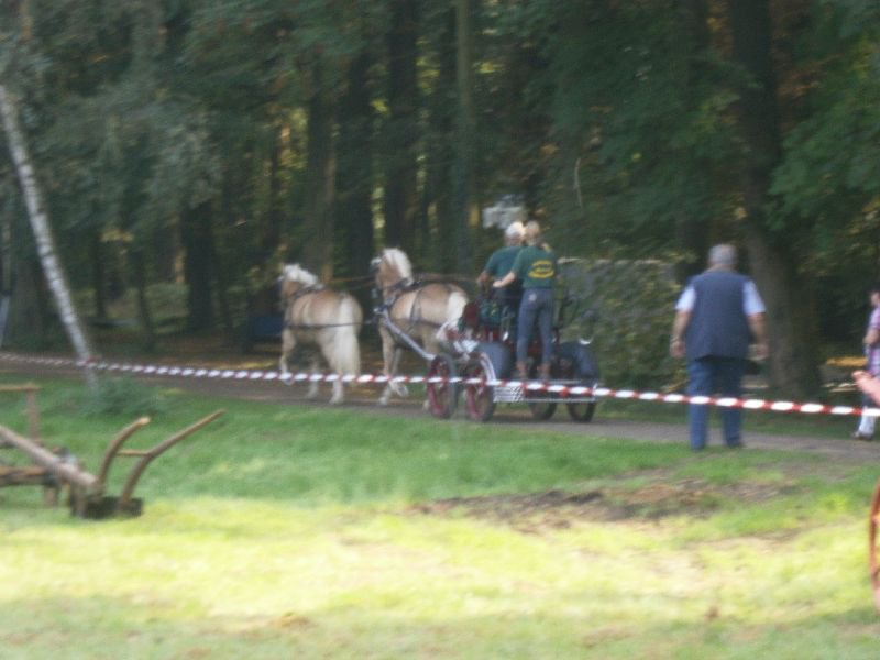 bückeburg 2014 032