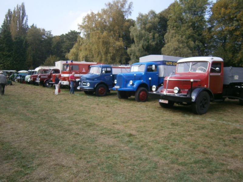 bückeburg 2014 038