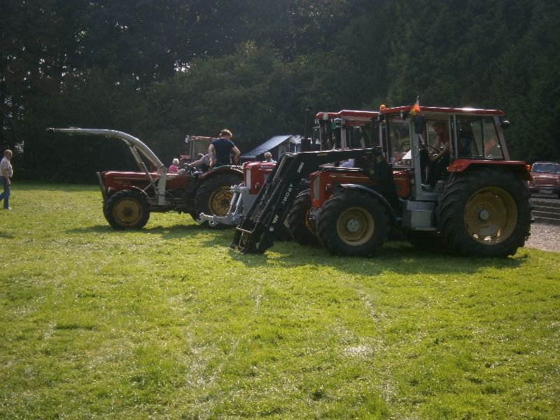 bückeburg 2014 056