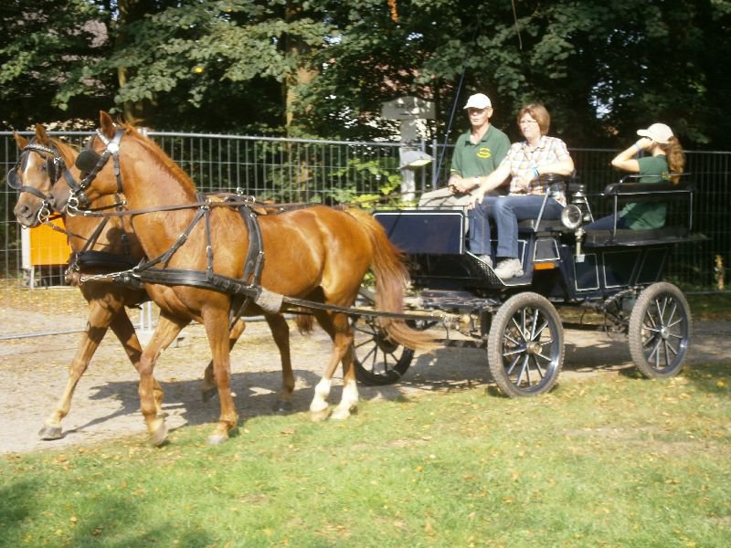 bückeburg 2014 059