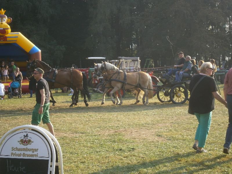 bückeburg 2014 104