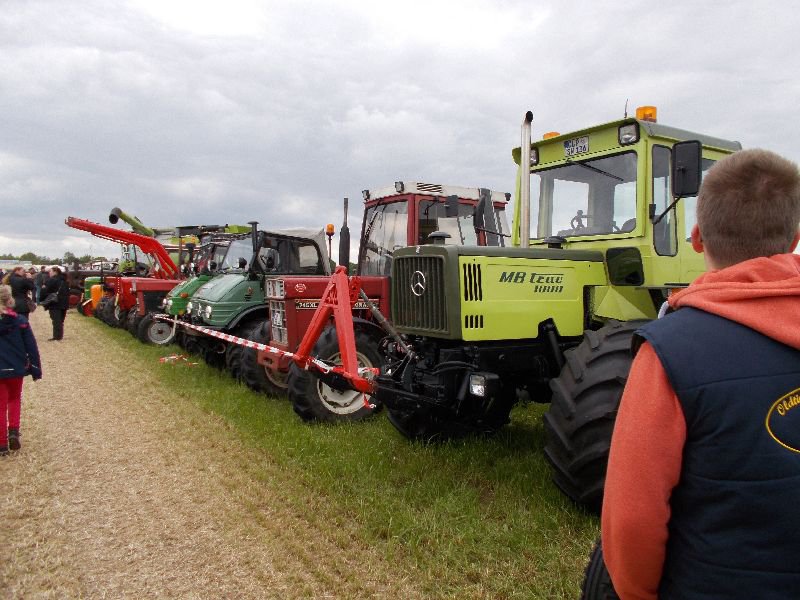 neu börger ,ridderrade , alten oeyte 2015 379