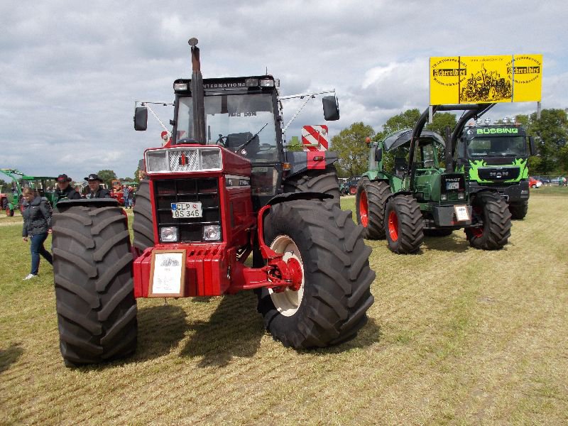 neu börger ,ridderrade , alten oeyte 2015 415