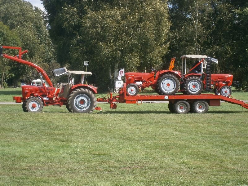 dwergte und dümmerbrand 199