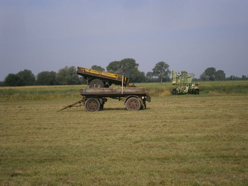 schwarme und rosswinkel 023