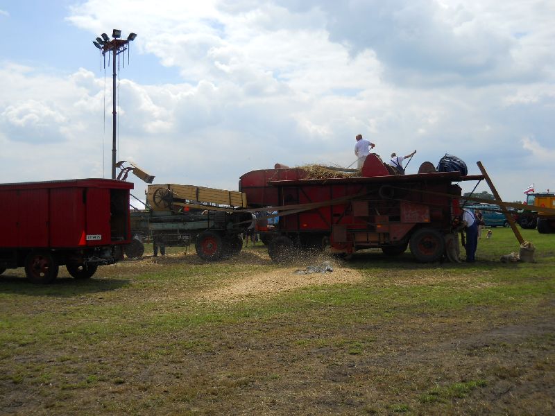 holland-068